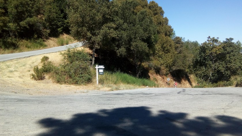 First Intersection_Susan